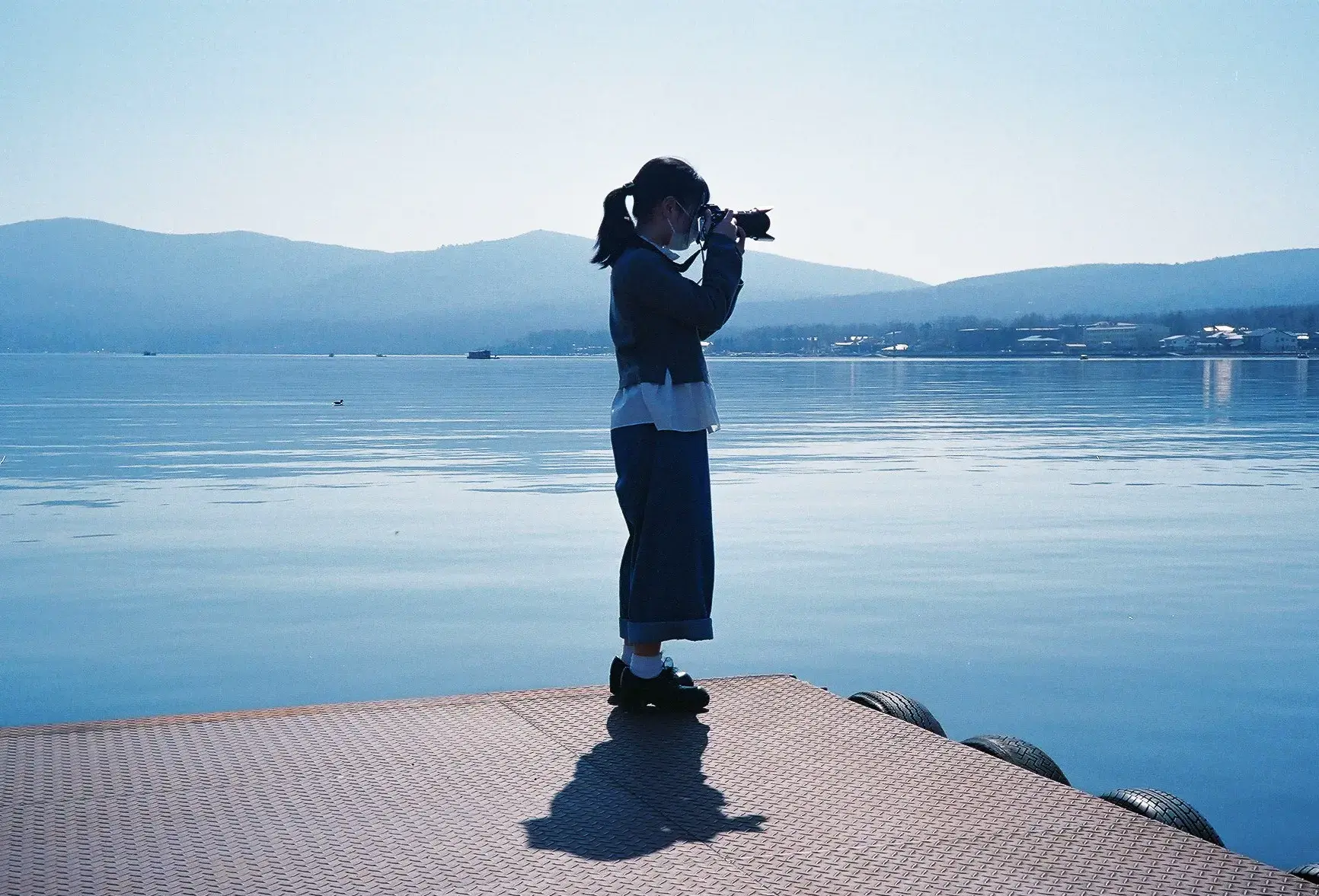 蒼猫のプロフィール画像